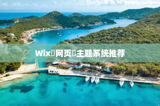 Wix‌网页‌主题系统推荐